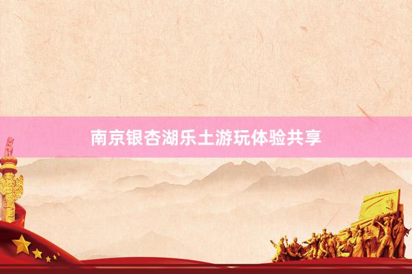 南京银杏湖乐土游玩体验共享